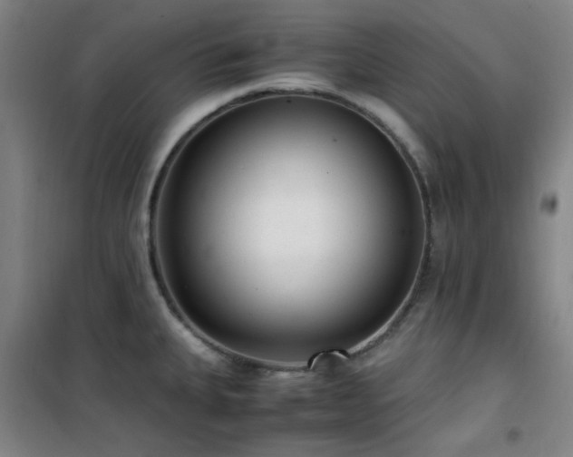 X0000101661335200807101246
