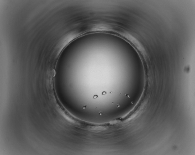 X0000101661337200807101246