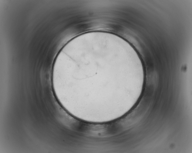 X0000101661338200807101246