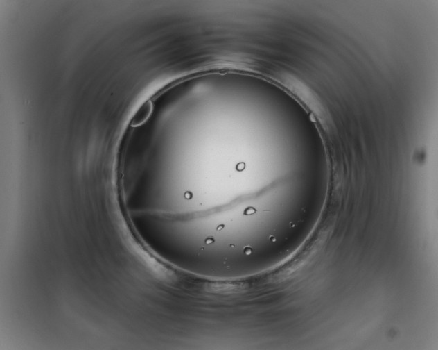 X0000101661339200807101246