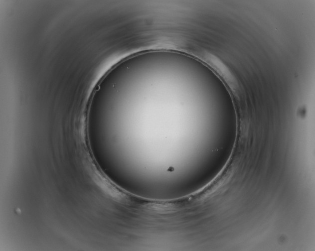 X0000101661340200807101246