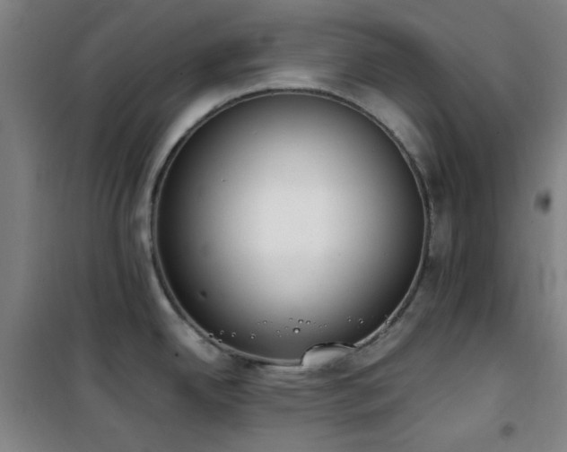 X0000101661342200807101246
