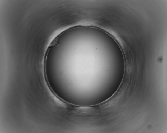 X0000101661343200807101246