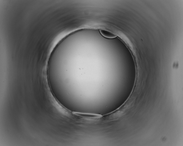 X0000101661344200807101246