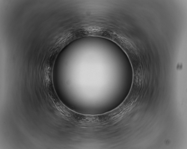 X0000101661346200807101245