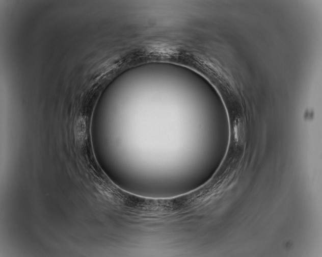 X0000101661347200807101245