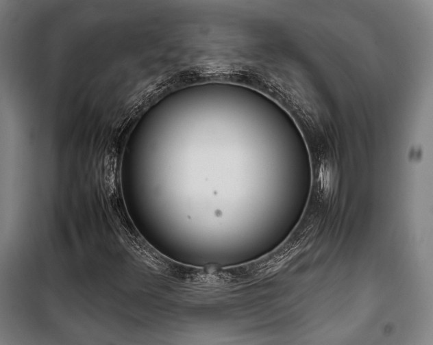X0000101661348200807101245