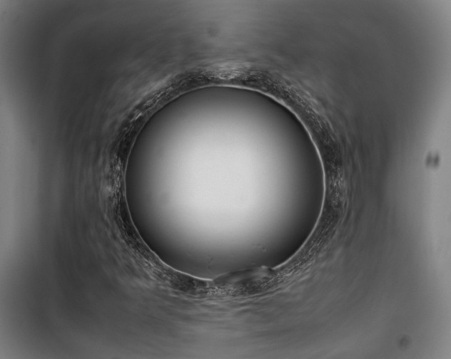 X0000101661349200807101245