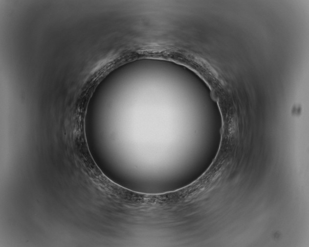 X0000101661350200807101245
