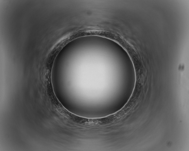 X0000101661351200807101245