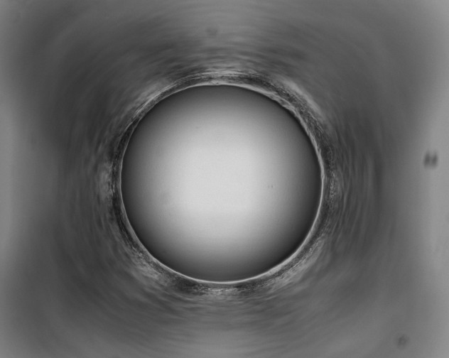 X0000101661353200807101245