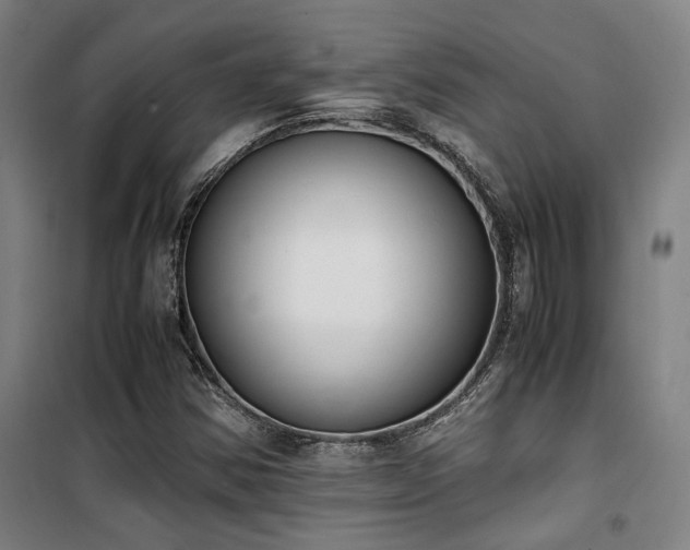 X0000101661354200807101245
