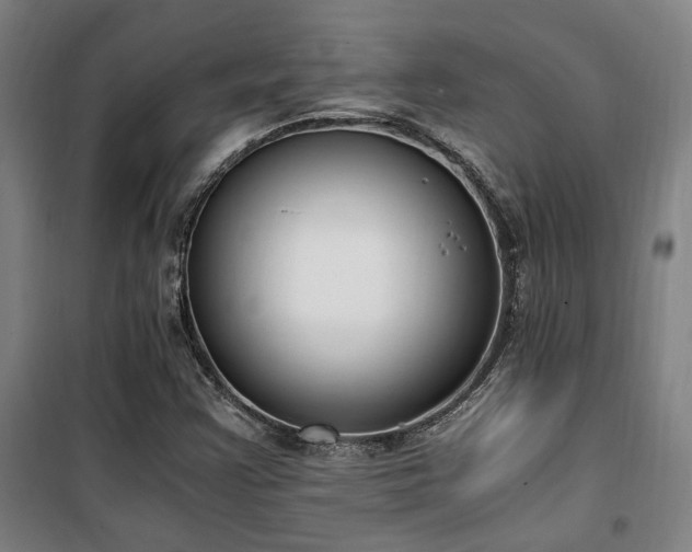 X0000101661355200807101245