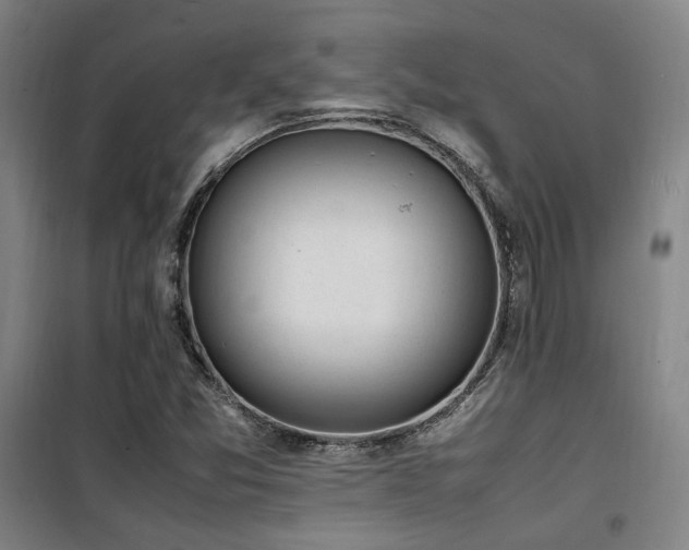 X0000101661357200807101245