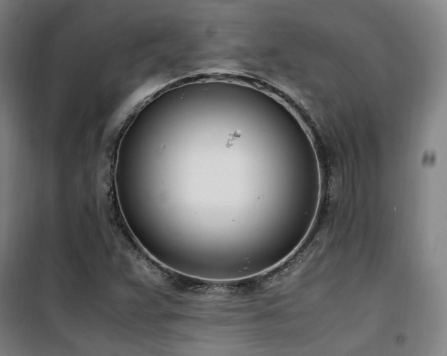 X0000101661359200807101245