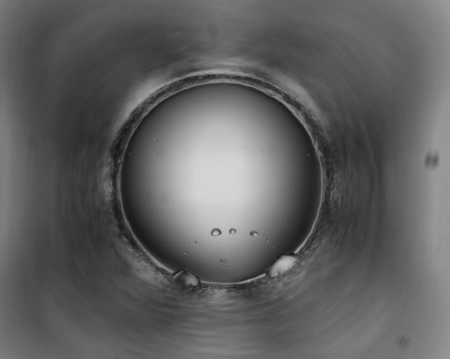 X0000101661360200807101245
