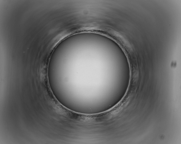 X0000101661361200807101245