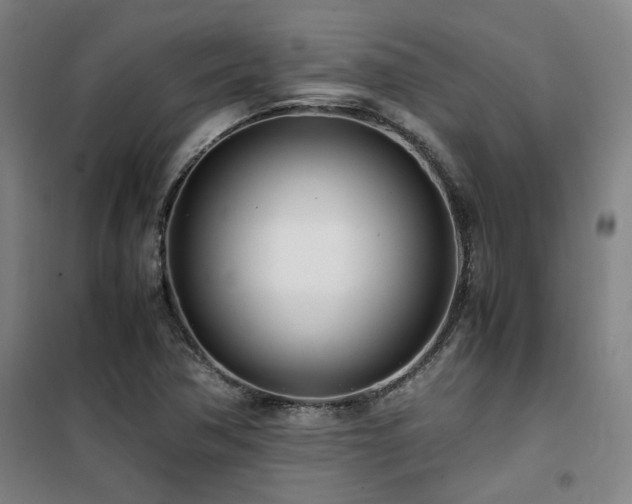 X0000101661362200807101245