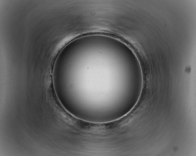 X0000101661363200807101245