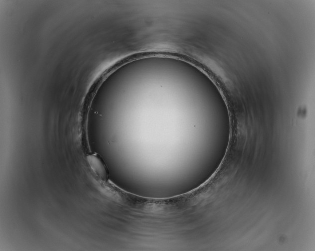 X0000101661364200807101245