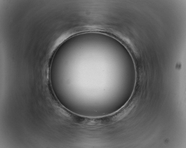 X0000101661365200807101245