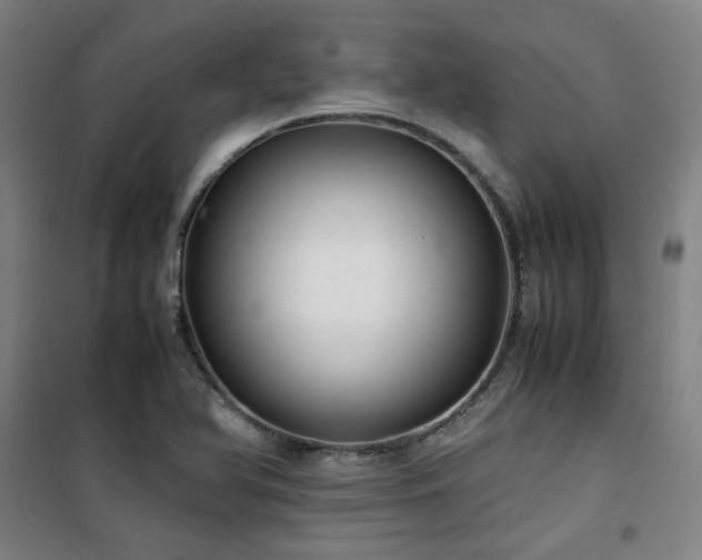 X0000101661366200807101244