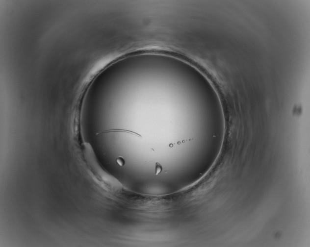 X0000101661367200807101244