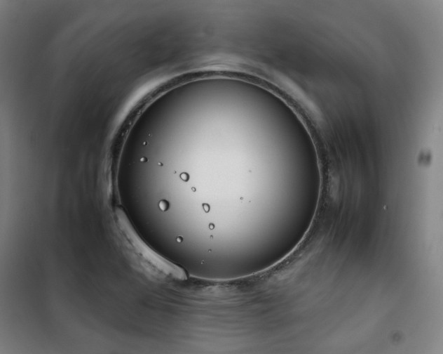 X0000101661368200807101244