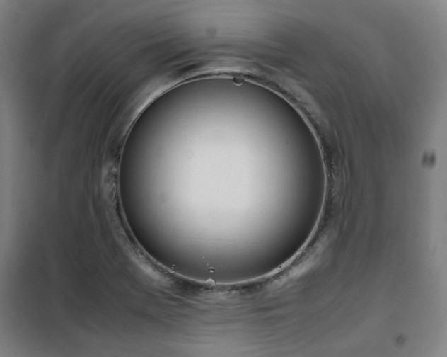 X0000101661369200807101244