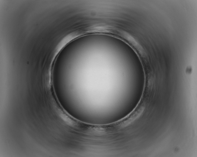 X0000101661370200807101244