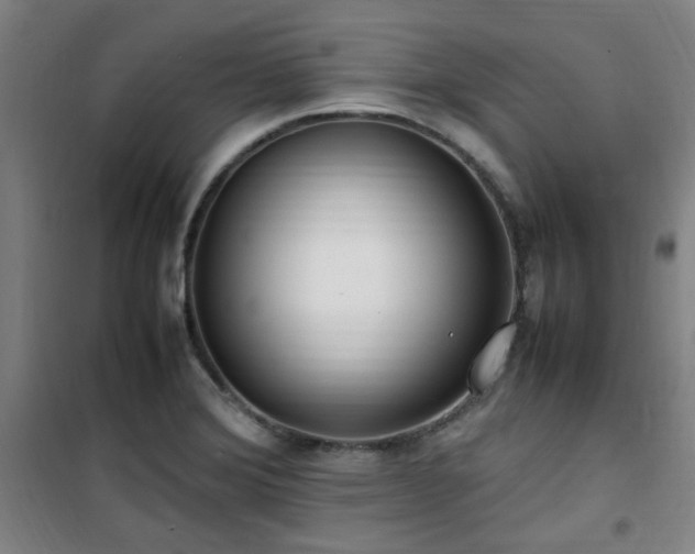 X0000101661372200807101244