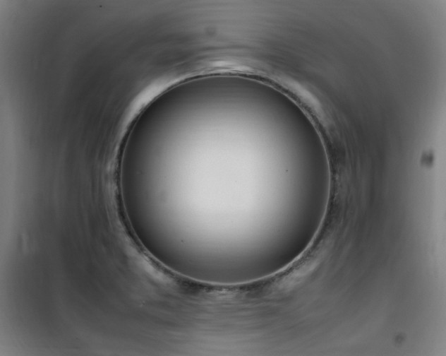 X0000101661373200807101244