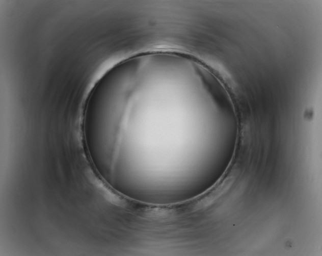X0000101661374200807101244