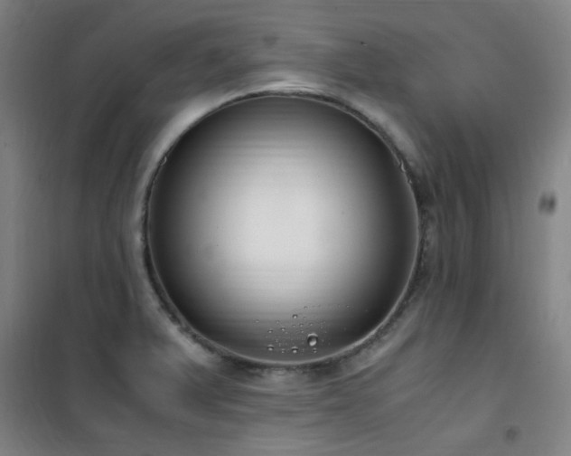 X0000101661375200807101244