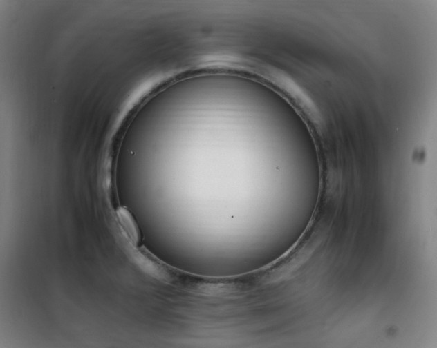 X0000101661376200807101244