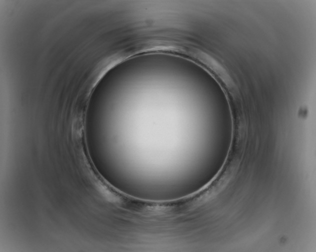 X0000101661377200807101244