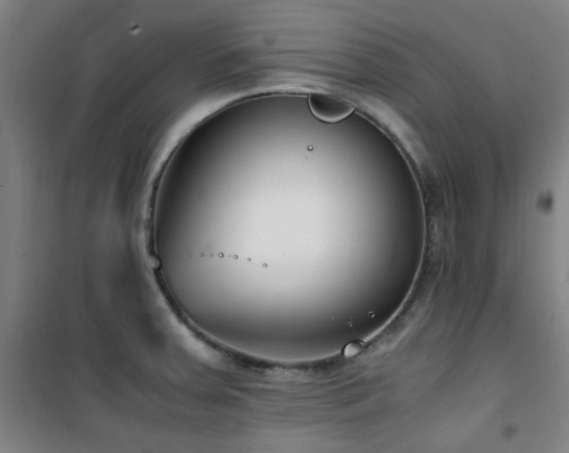 X0000101661379200807101244