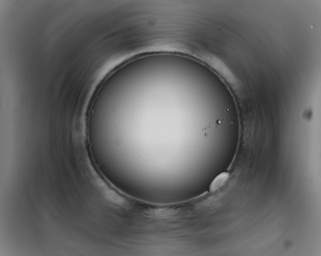 X0000101661380200807101244