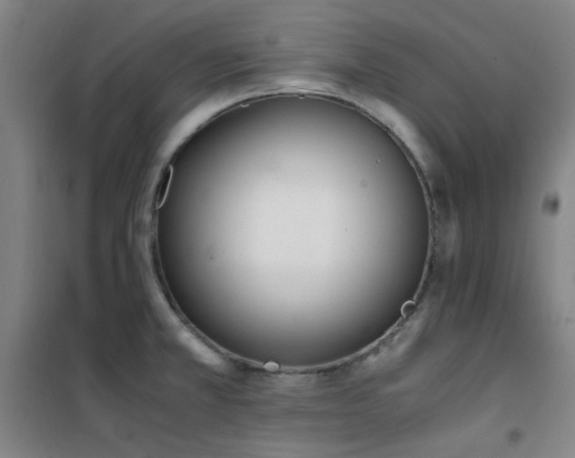 X0000101661381200807101244