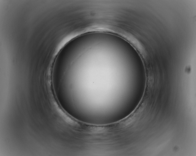 X0000101661382200807101244