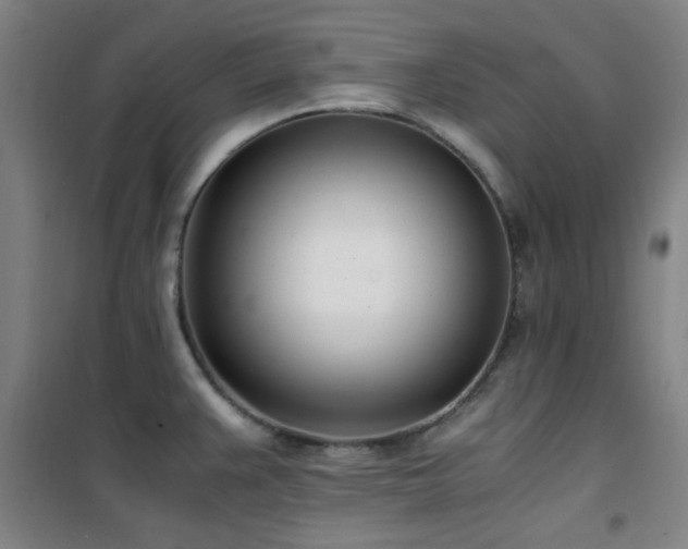 X0000101661383200807101244