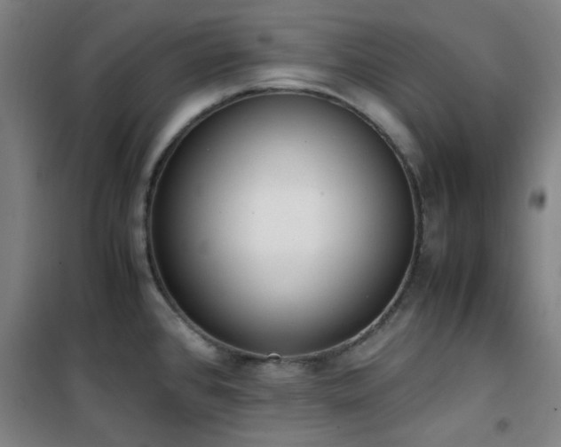X0000101661384200807101244