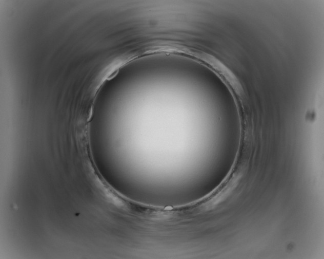 X0000101661385200807101244