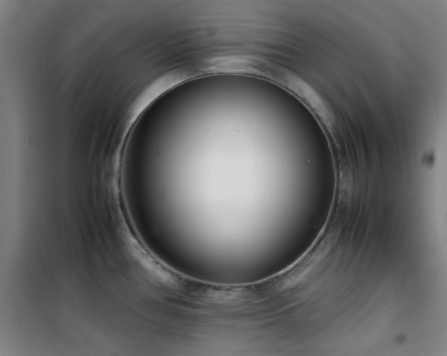 X0000101661386200807101244