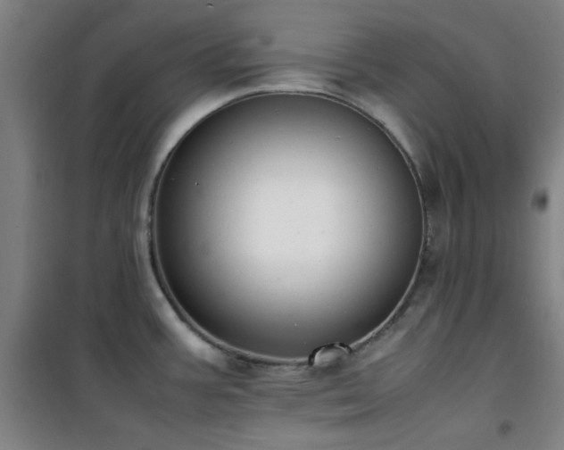 X0000101661387200807101244