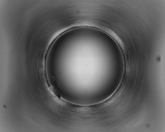 X0000101661388200807101244