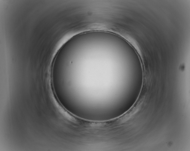 X0000101661389200807101244
