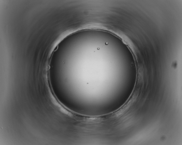 X0000101661390200807101244