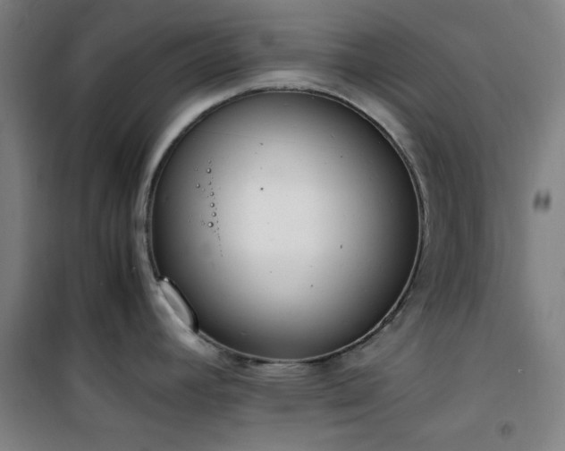 X0000101661392200807101244