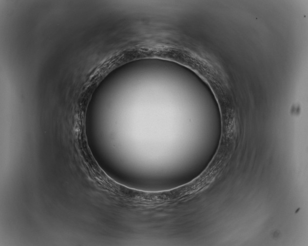 X0000101661397200807101244